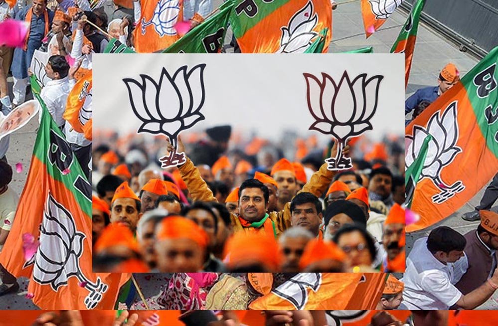 bjp_A_79_3-3.jpg