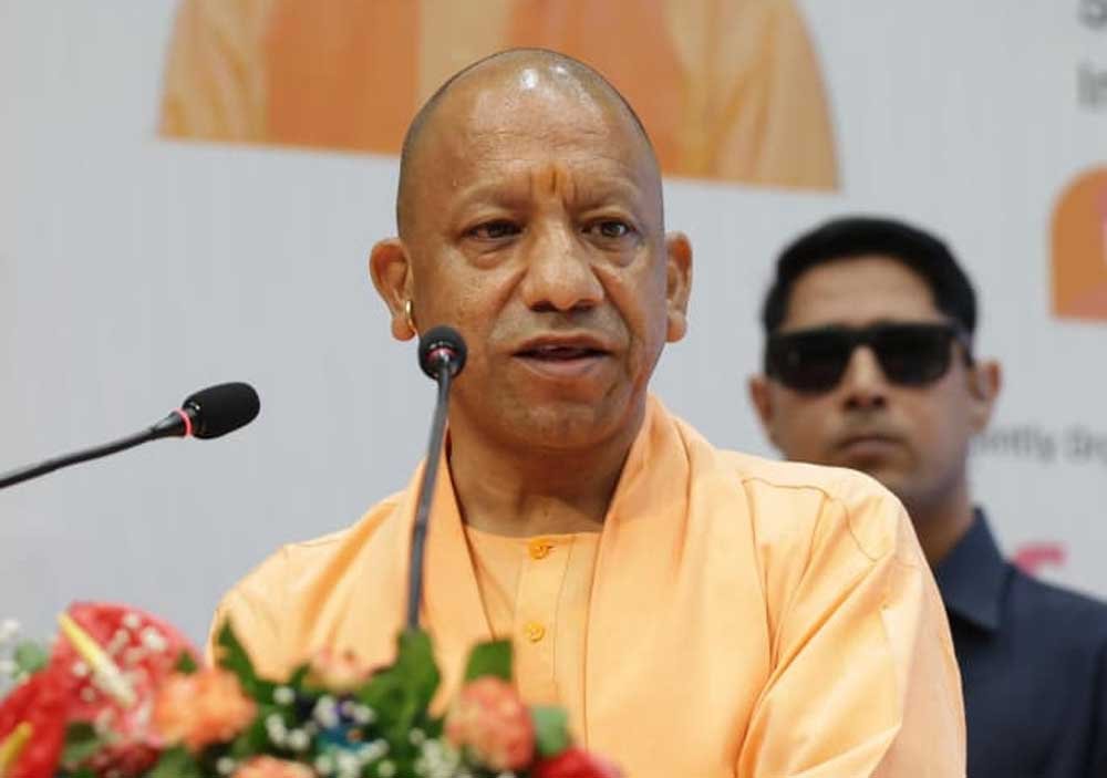 yOGI_01-13.jpg