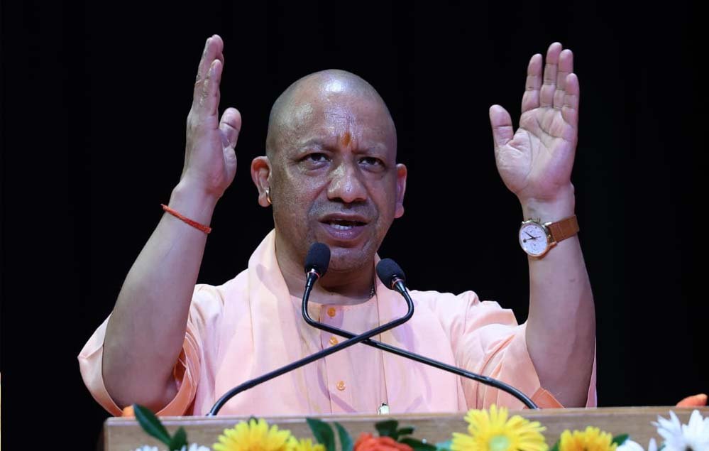 yogi_119_3-8.jpg