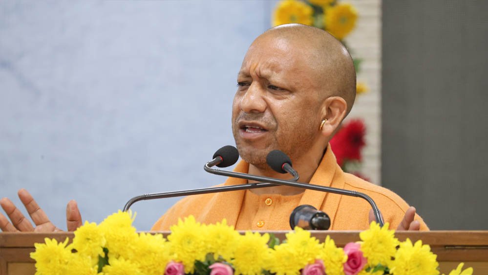yogi_133_4-4.jpg