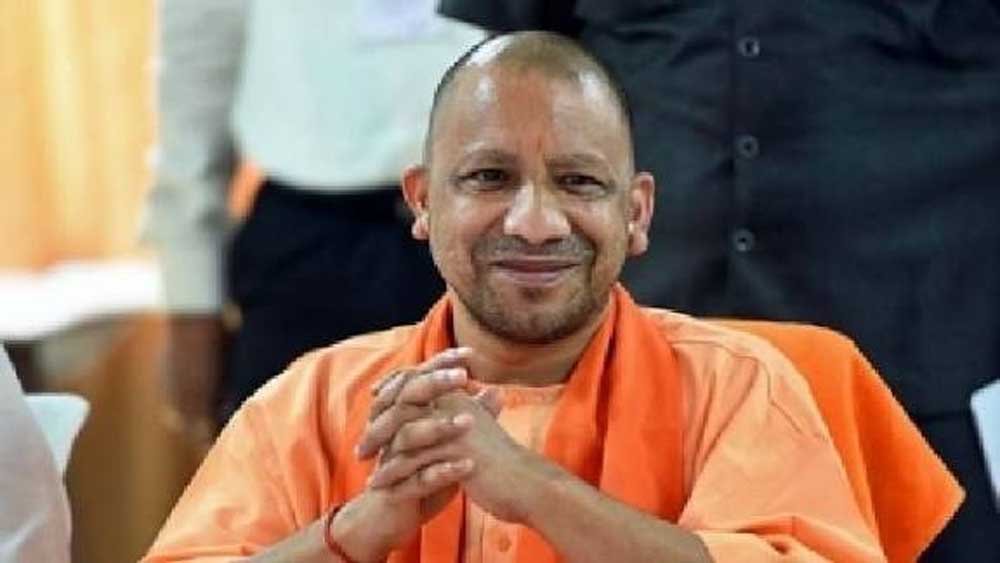 Yogi_07-15.jpg