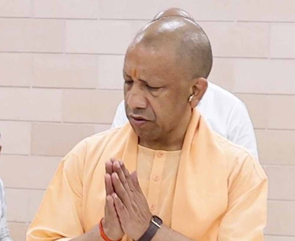 yogi_07-5.jpg
