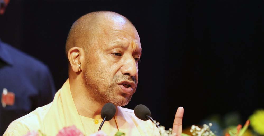 yogi_0_2_1.jpg