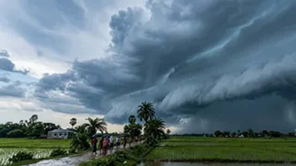 rain_5-1.jpg