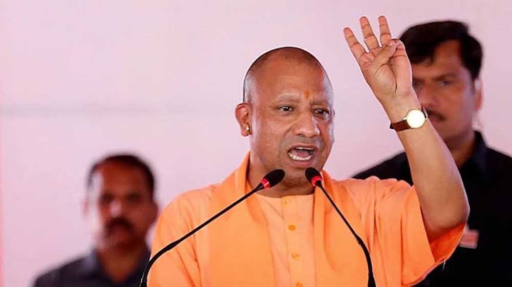 Yogi_01_jpgjjjjj-1-1.jpg