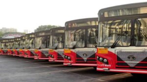 bus_81_1.jpg