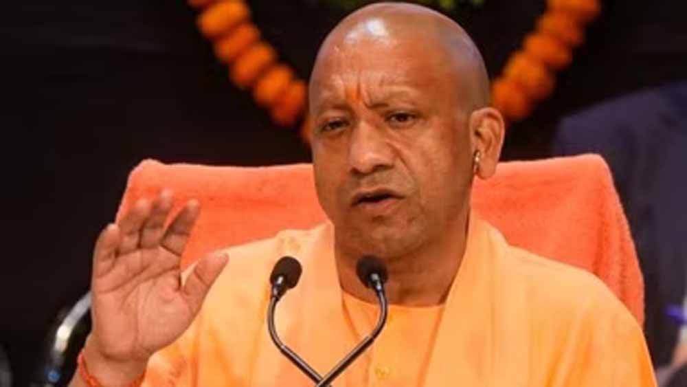 cm_yogi_8-4.jpg