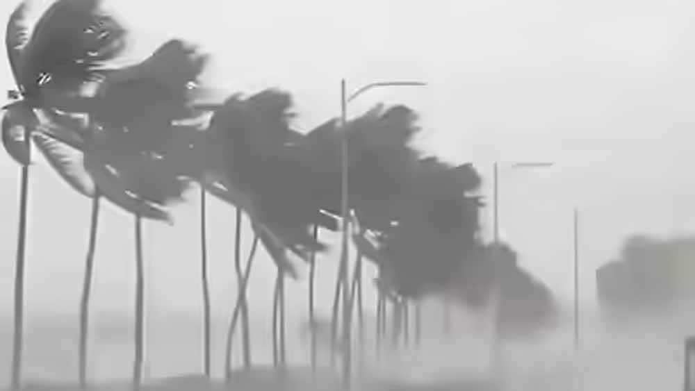 rain_2-12.jpg