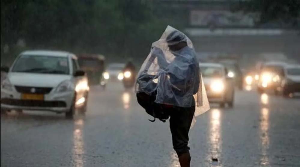 rain_81_4-1.jpg