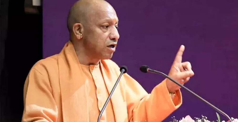 yogi_2_27_1-20.jpg