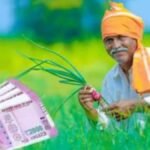 अरवल के किसानों को रबी फसलों के बीज पर मिलेगा 65% अनुदान, ऑनलाइन आवेदन शुरू