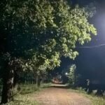 मुख्यमंत्री हेल्पलाइन पर एक कॉल से दूर हुआ गांव का अंधेरा
