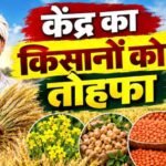रबी फसलों के MSP में बढ़ोतरी, दलहन-तिलहन पर सरकार का खास जोर