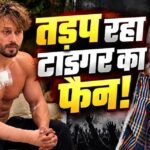 टाइगर श्रॉफ की एक झलक पाने पहुंचे फैन को लगी गोली, अस्पताल में भर्ती; घर पर गर्भवती पत्नी कर रही इंतजार