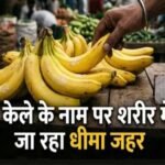 नवरात्र में केले की बढ़ी मांग, केमिकल से पकाने का खतरा! खरीदते समय इन बातों का रखें ध्यान