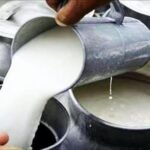 बिहार में डेयरी फार्म खोलने पर मिलेगी 75% तक सब्सिडी, सरकार दे रही 8 लाख रुपये से ज्यादा की मदद