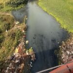 CG हाईकोर्ट की सख्ती, पूछा- 4 STP से कैसे साफ होगा अरपा नदी में गिरने वाले 70 नालों का पानी?