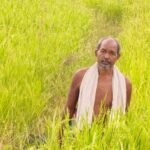 कृषक उन्नति योजना से शंकर प्रसाद की खेती को मिलेगा आर्थिक संबल, तीन एकड़ में सुगंधित धान की खेती पर मिलेंगे 45 हजार रुपये