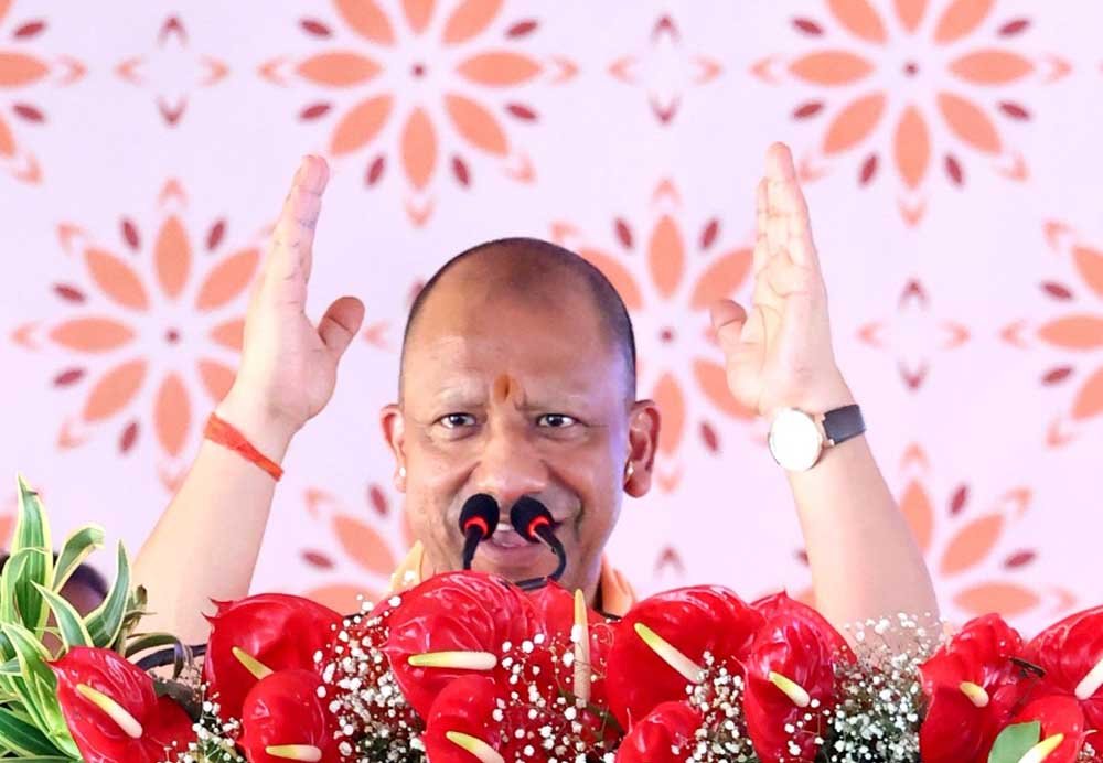 Yogi_02.jpg