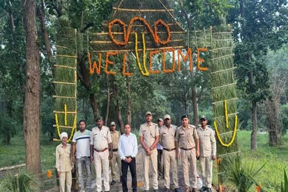 Zooo01.jpg
