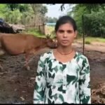 डेयरी व्यवसाय से संध्या बनीं आत्मनिर्भर, दूध की बिक्री से हर महीने हो रही 15 हजार रुपये की बचत