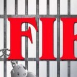 fir_A_18_3.jpg
