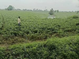 kISAN_08.jpg