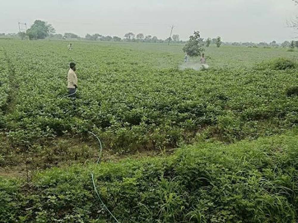 kISAN_08.jpg