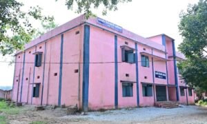 pINK_022.jpg