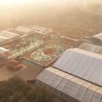 बस्तर के लालबाग में वनोपज से सजी 20,700 वर्गफीट की भव्य रंगोली ने रचा विश्व रिकॉर्ड, राष्ट्रपति  द्रौपदी मुर्मु ने किया अवलोकन