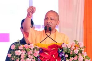 yOGI_01.jpg
