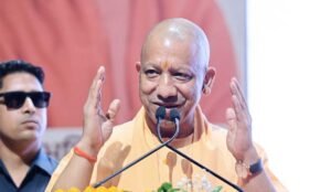 yogi-1.jpg