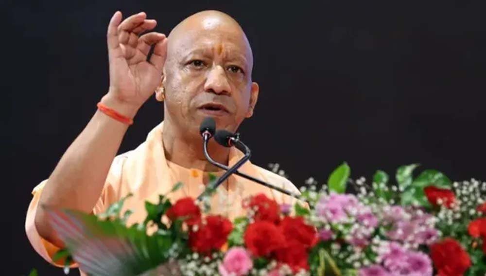 yogi-12.jpg