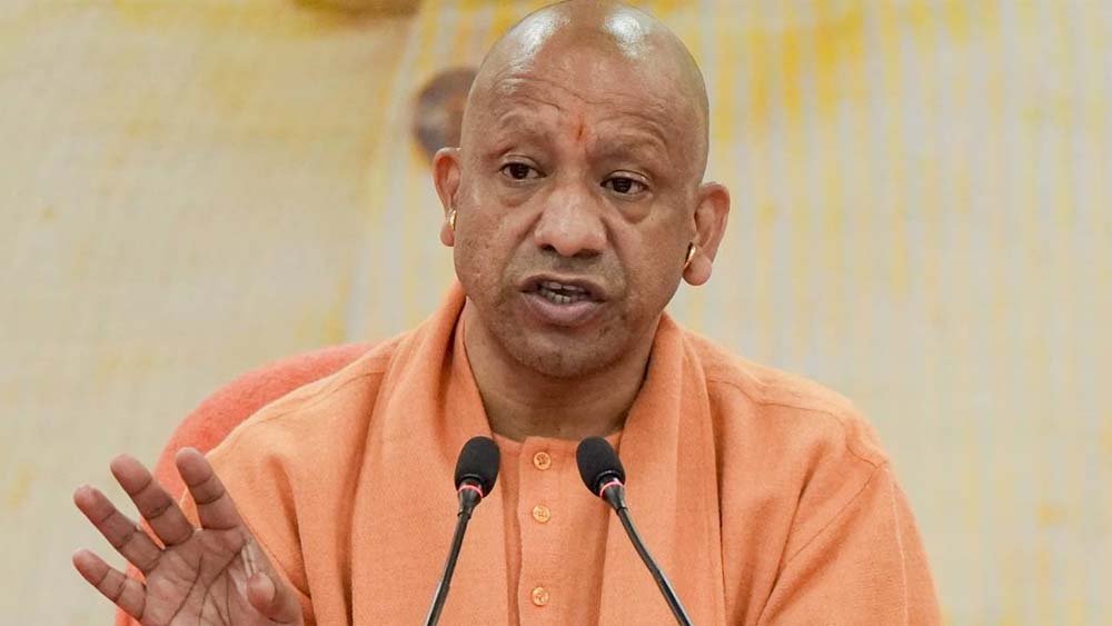 yogi-4.jpg