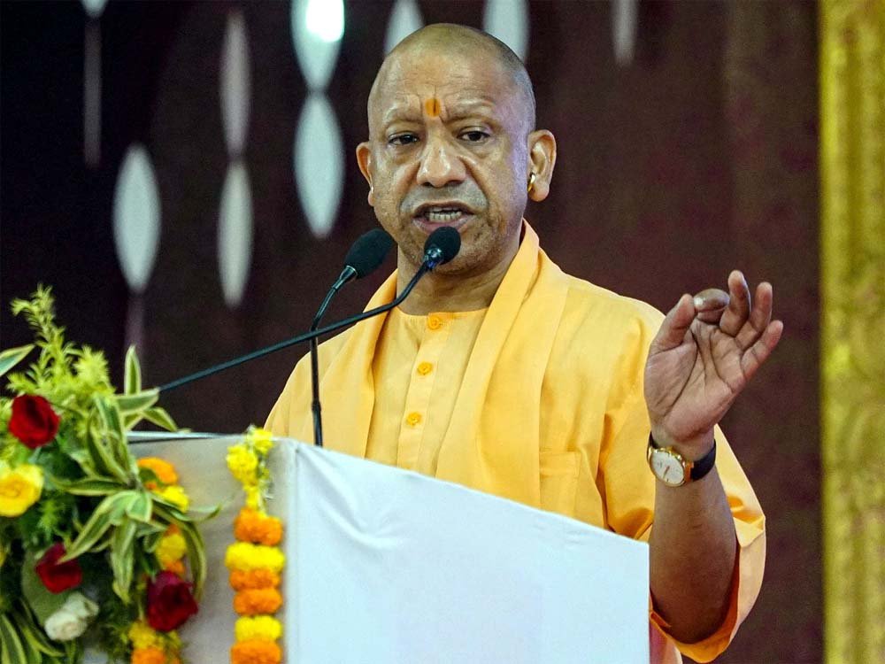 yogi-7.jpg