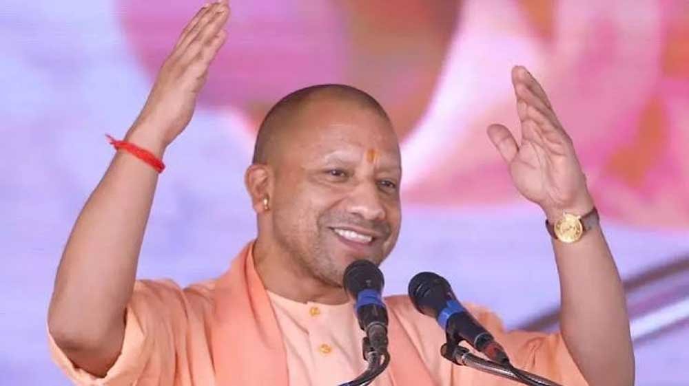 yogi0555-1.jpg