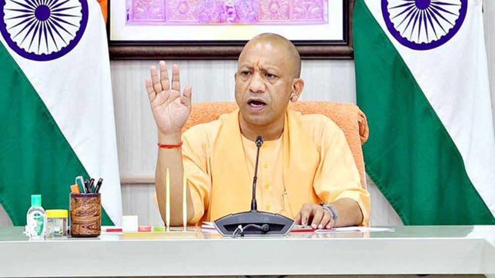 yogi3-1.jpg