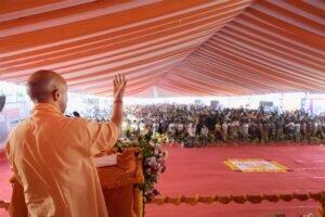 yogi3-2.jpg