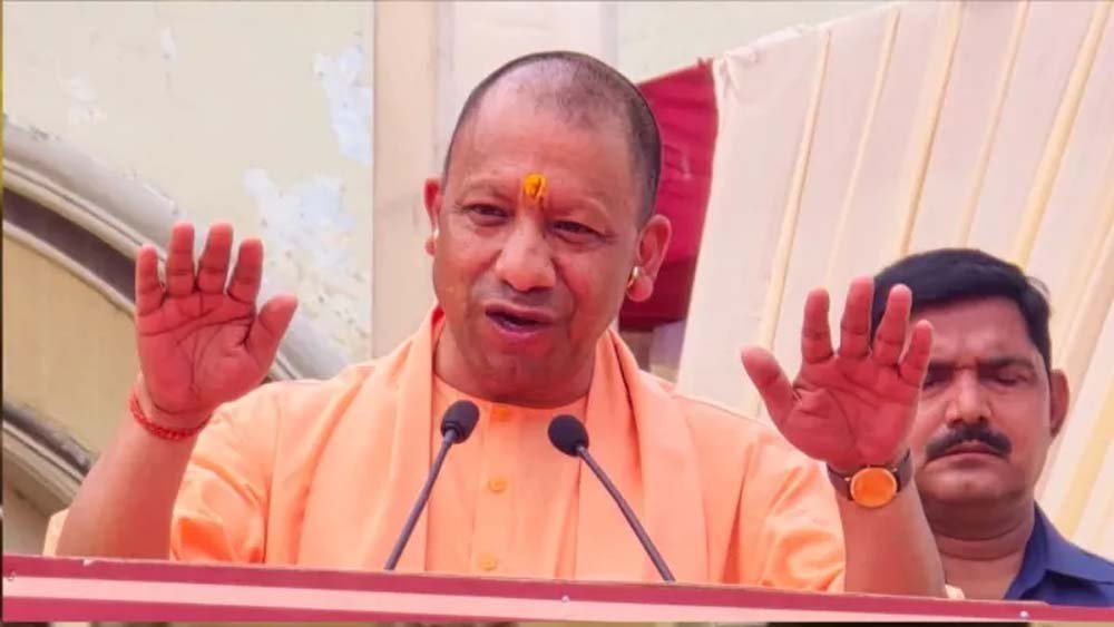 yogi3-3.jpg