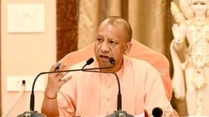 yogi3-5.jpg