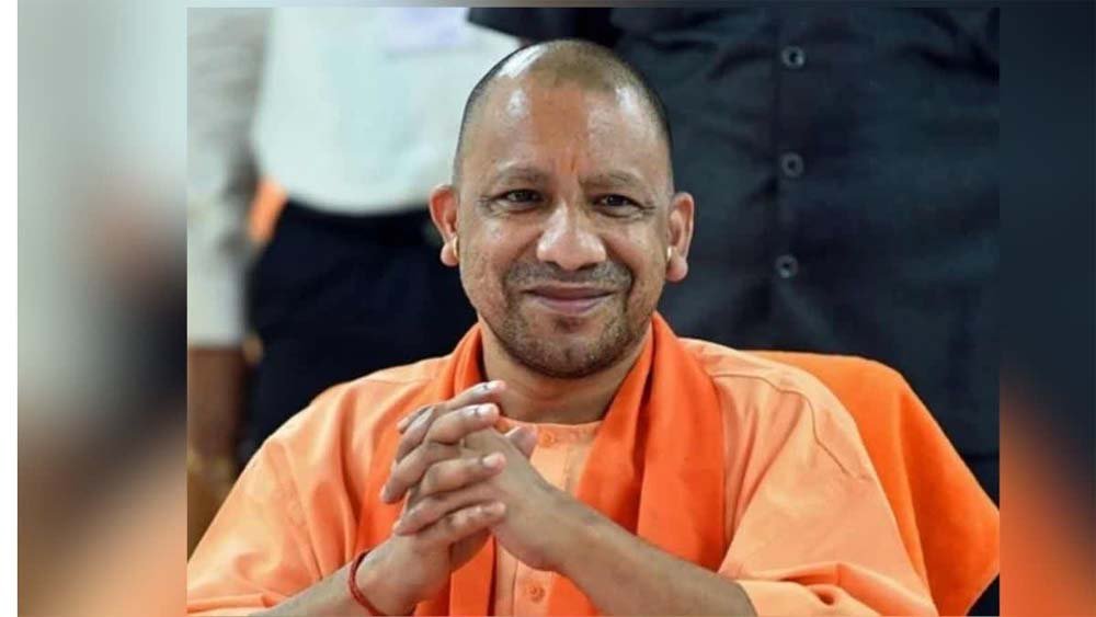 yogi3.jpg