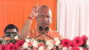 yogi6.jpg