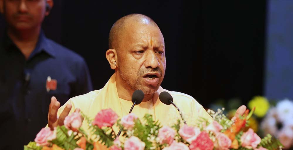 yogi_0_2_2-5.jpg