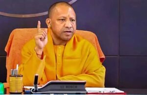 yogi_60_1-3.jpg