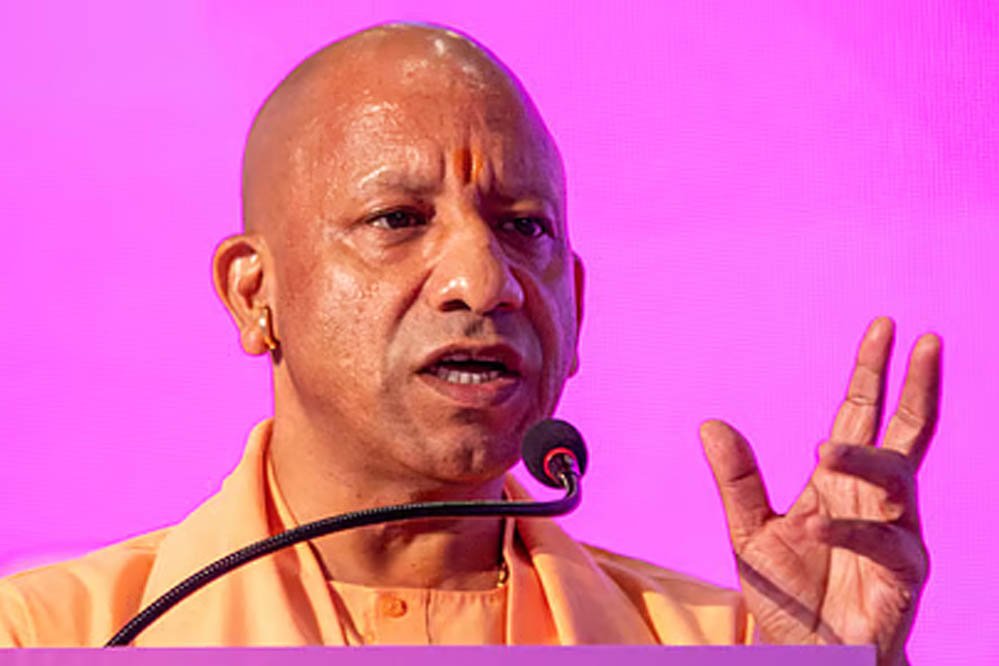 yogi_A_26_2-10.jpg